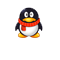 客服QQ:8719873